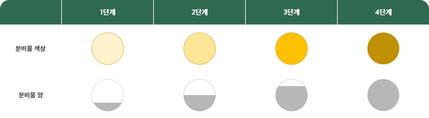 질내 촬영을 통한 분비물 색상·양 단계별 진단