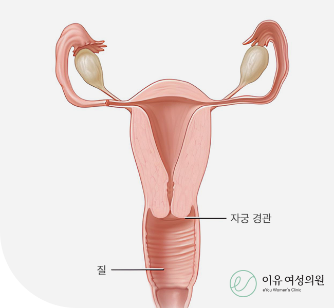 염증질환